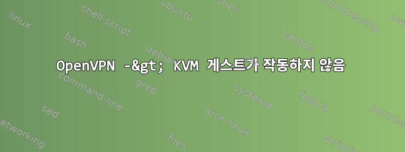 OpenVPN -&gt; KVM 게스트가 작동하지 않음