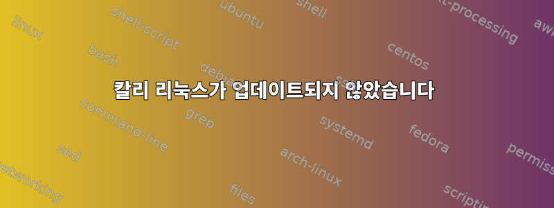 칼리 리눅스가 업데이트되지 않았습니다