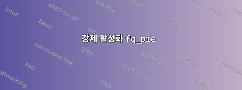 강제 활성화 fq_pie