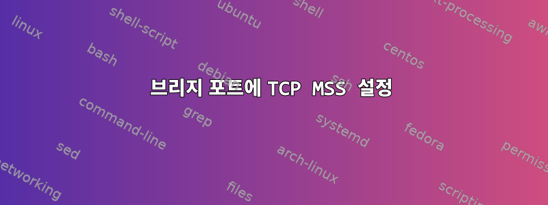 브리지 포트에 TCP MSS 설정