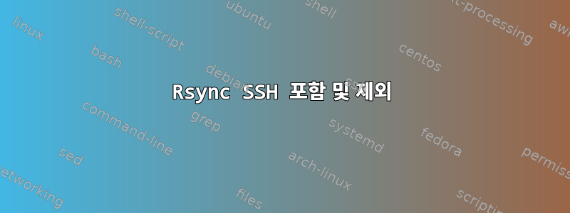 Rsync SSH 포함 및 제외