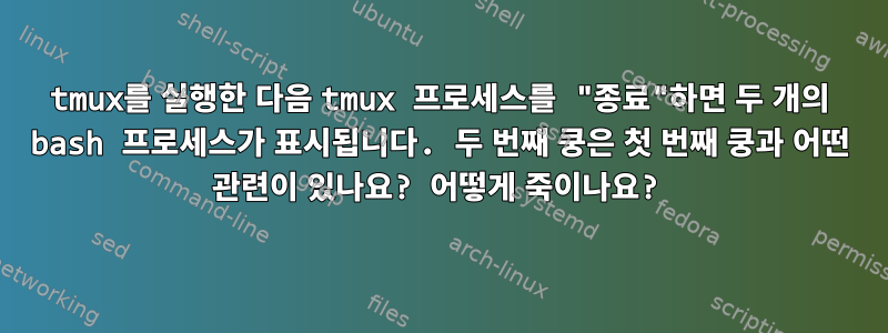 tmux를 실행한 다음 tmux 프로세스를 "종료"하면 두 개의 bash 프로세스가 표시됩니다. 두 번째 쿵은 첫 번째 쿵과 어떤 관련이 있나요? 어떻게 죽이나요?