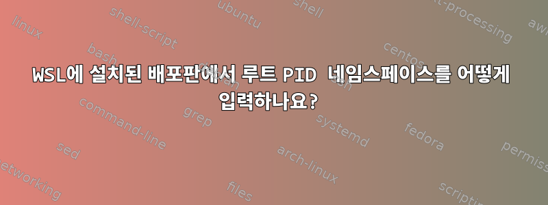 WSL에 설치된 배포판에서 루트 PID 네임스페이스를 어떻게 입력하나요?