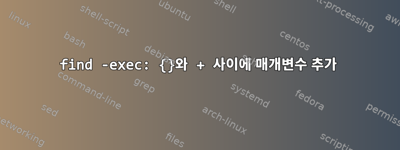 find -exec: {}와 + 사이에 매개변수 추가