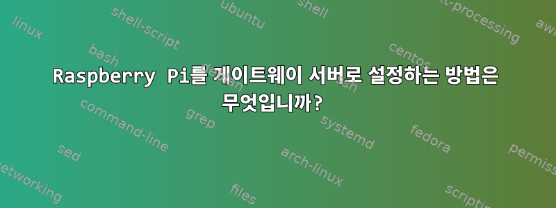 Raspberry Pi를 게이트웨이 서버로 설정하는 방법은 무엇입니까?