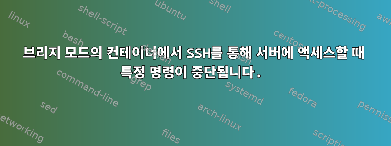 브리지 모드의 컨테이너에서 SSH를 통해 서버에 액세스할 때 특정 명령이 중단됩니다.