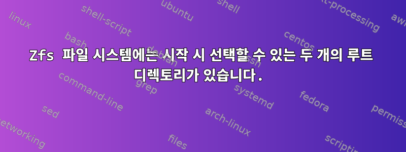 Zfs 파일 시스템에는 시작 시 선택할 수 있는 두 개의 루트 디렉토리가 있습니다.