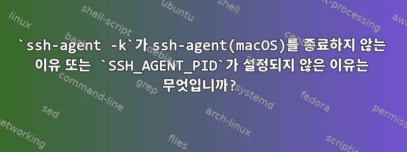 `ssh-agent -k`가 ssh-agent(macOS)를 종료하지 않는 이유 또는 `SSH_AGENT_PID`가 설정되지 않은 이유는 무엇입니까?