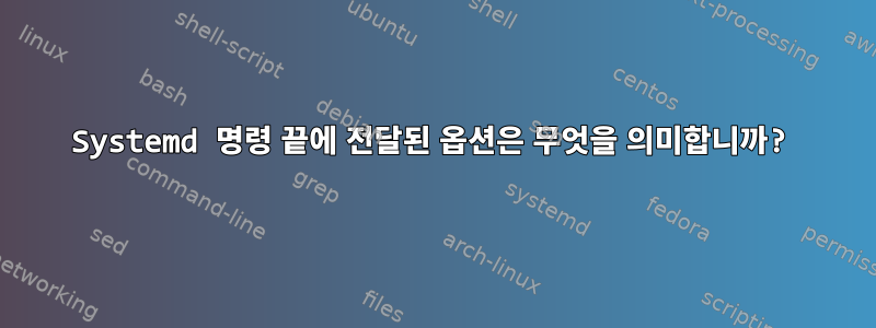 Systemd 명령 끝에 전달된 옵션은 무엇을 의미합니까?