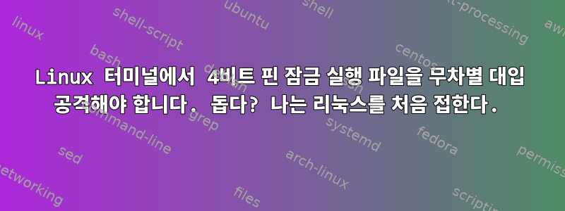 Linux 터미널에서 4비트 핀 잠금 실행 파일을 무차별 대입 공격해야 합니다. 돕다? 나는 리눅스를 처음 접한다.