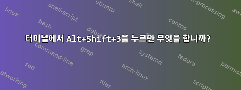 터미널에서 Alt+Shift+3을 누르면 무엇을 합니까?