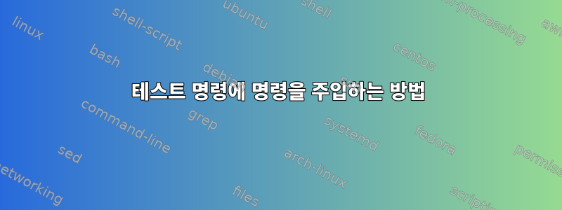 테스트 명령에 명령을 주입하는 방법