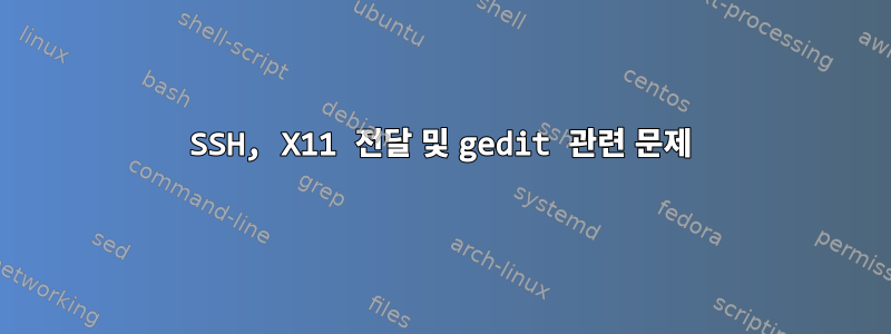 SSH, X11 전달 및 gedit 관련 문제