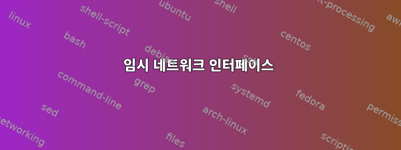 임시 네트워크 인터페이스