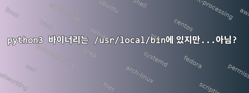 python3 바이너리는 /usr/local/bin에 있지만...아님?