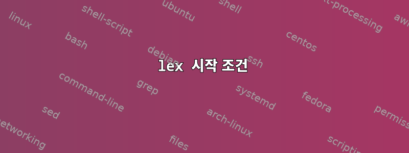 lex 시작 조건