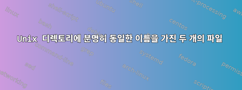 Unix 디렉토리에 분명히 동일한 이름을 가진 두 개의 파일