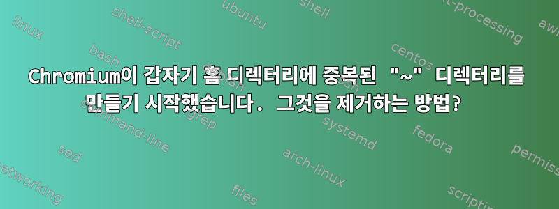 Chromium이 갑자기 홈 디렉터리에 중복된 "~" 디렉터리를 만들기 시작했습니다. 그것을 제거하는 방법?