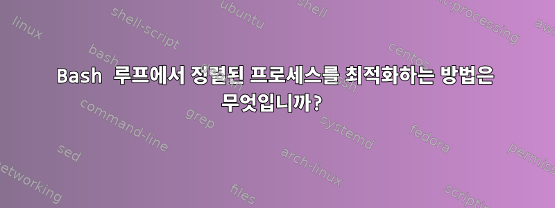 Bash 루프에서 정렬된 프로세스를 최적화하는 방법은 무엇입니까?