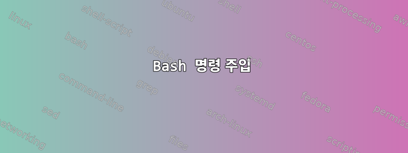 Bash 명령 주입