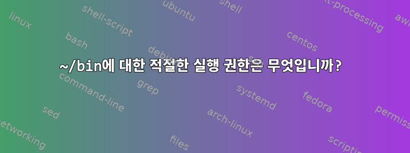 ~/bin에 대한 적절한 실행 권한은 무엇입니까?