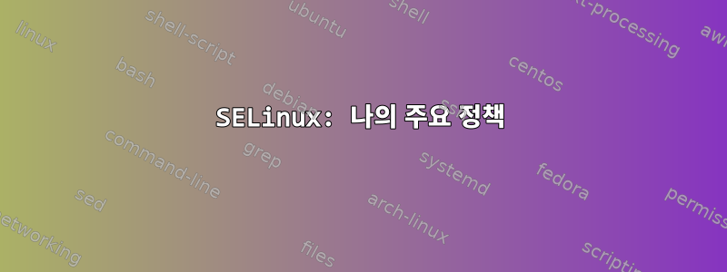 SELinux: 나의 주요 정책