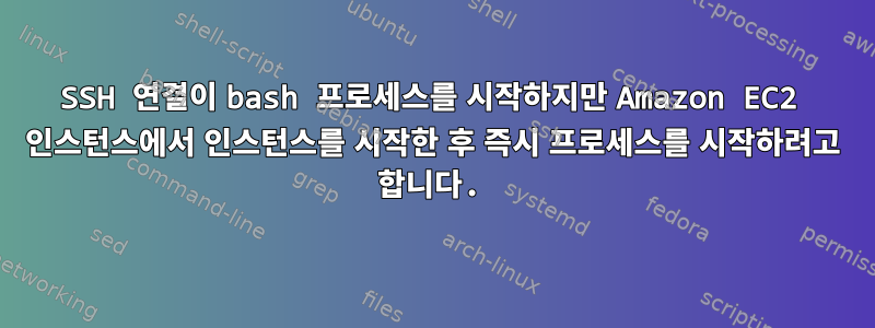 SSH 연결이 bash 프로세스를 시작하지만 Amazon EC2 인스턴스에서 인스턴스를 시작한 후 즉시 프로세스를 시작하려고 합니다.