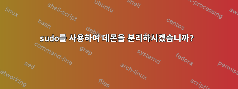 sudo를 사용하여 데몬을 분리하시겠습니까?