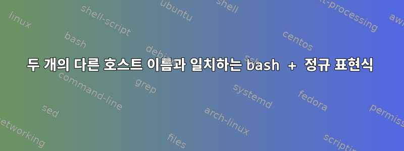 두 개의 다른 호스트 이름과 일치하는 bash + 정규 표현식