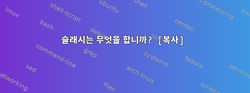 슬래시는 무엇을 합니까? [복사]