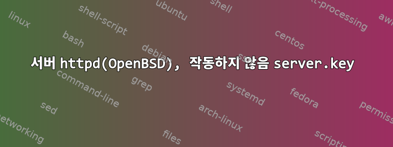 서버 httpd(OpenBSD), 작동하지 않음 server.key