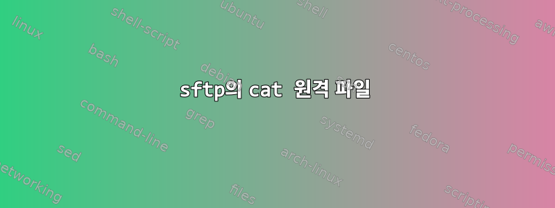 sftp의 cat 원격 파일