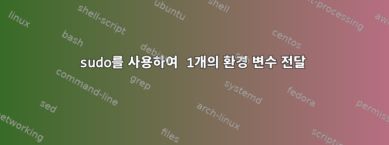 sudo를 사용하여 1개의 환경 변수 전달