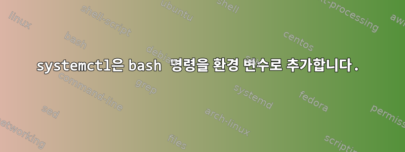 systemctl은 bash 명령을 환경 변수로 추가합니다.