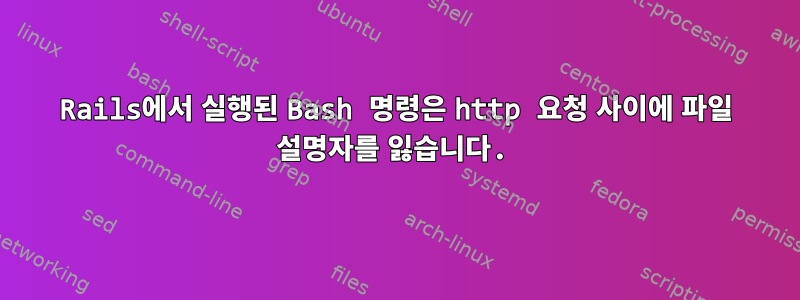 Rails에서 실행된 Bash 명령은 http 요청 사이에 파일 설명자를 잃습니다.