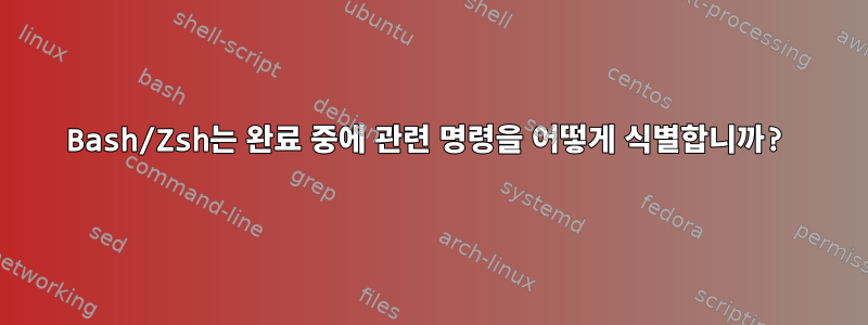 Bash/Zsh는 완료 중에 관련 명령을 어떻게 식별합니까?