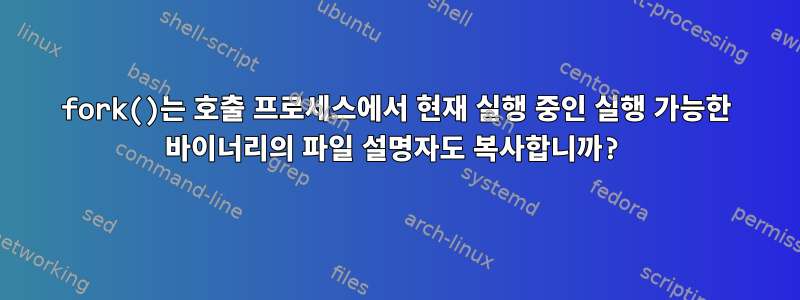 fork()는 호출 프로세스에서 현재 실행 중인 실행 가능한 바이너리의 파일 설명자도 복사합니까?