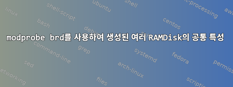 modprobe brd를 사용하여 생성된 여러 RAMDisk의 공통 특성