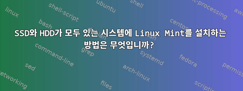 SSD와 HDD가 모두 있는 시스템에 Linux Mint를 설치하는 방법은 무엇입니까?