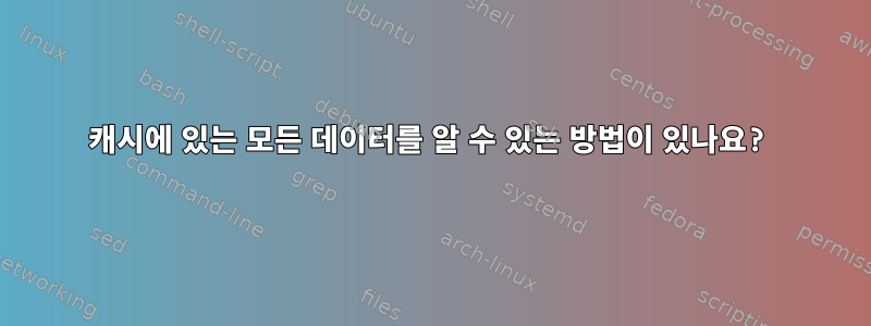 캐시에 있는 모든 데이터를 알 수 있는 방법이 있나요?