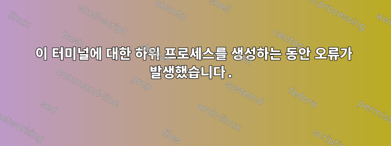 이 터미널에 대한 하위 프로세스를 생성하는 동안 오류가 발생했습니다.