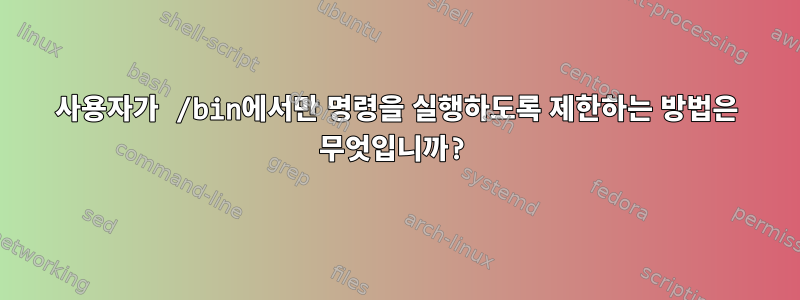 사용자가 /bin에서만 명령을 실행하도록 제한하는 방법은 무엇입니까?