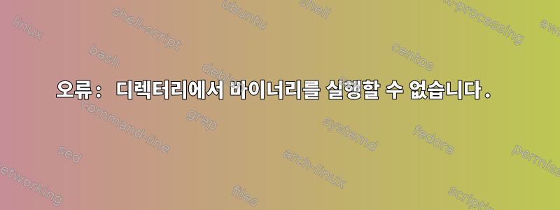 오류: 디렉터리에서 바이너리를 실행할 수 없습니다.