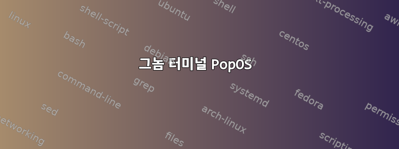 그놈 터미널 PopOS