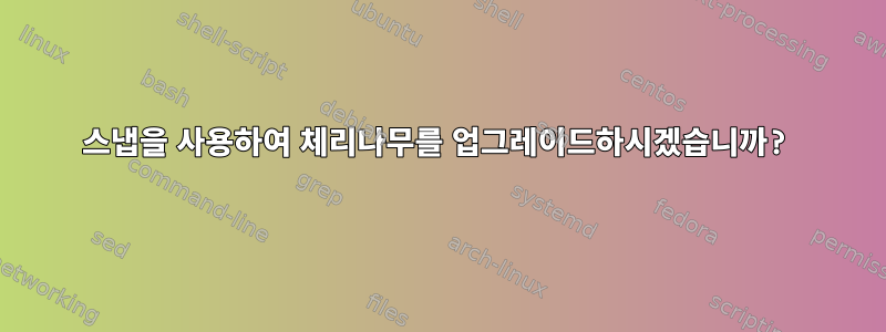 스냅을 사용하여 체리나무를 업그레이드하시겠습니까?