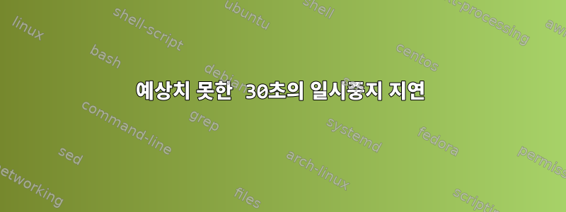 예상치 못한 30초의 일시중지 지연