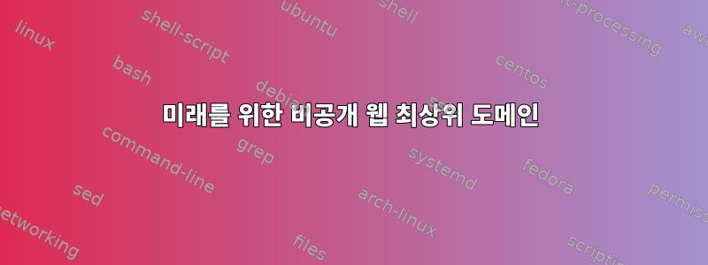 미래를 위한 비공개 웹 최상위 도메인