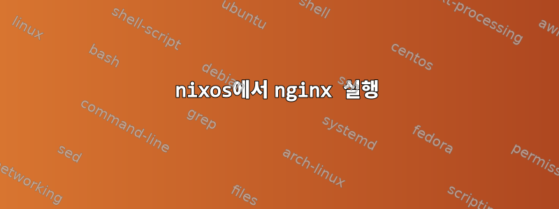 nixos에서 nginx 실행