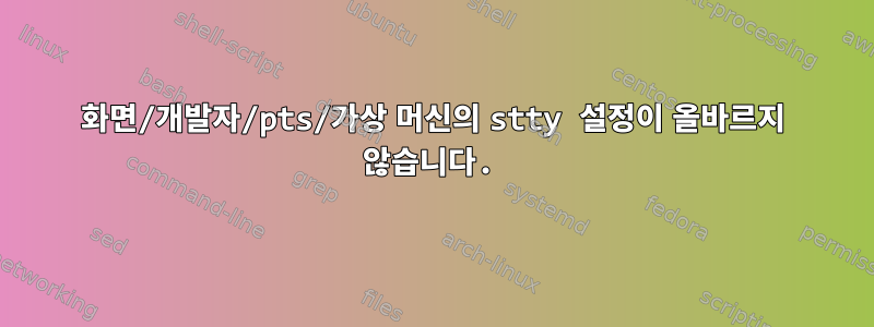 화면/개발자/pts/가상 머신의 stty 설정이 올바르지 않습니다.