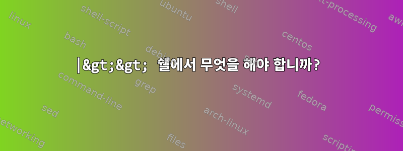 |&gt;&gt; 쉘에서 무엇을 해야 합니까?